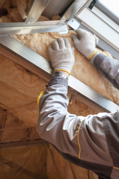 Best Insulation Replacement Services  in Browntown, PA