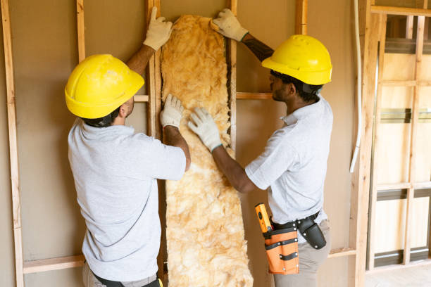 Best Professional Insulation Contractor  in Browntown, PA