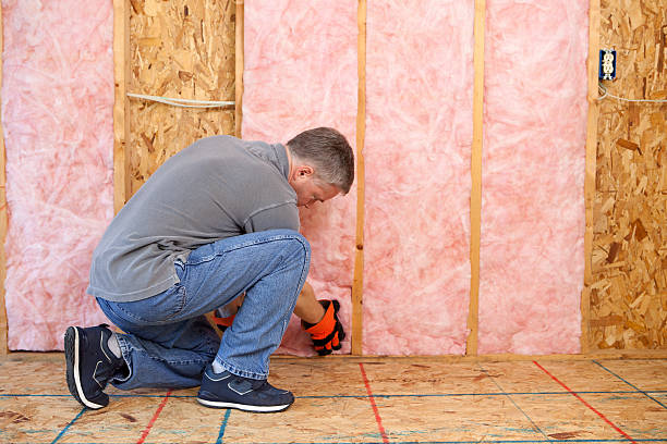 Best Energy-efficient Insulation  in Browntown, PA