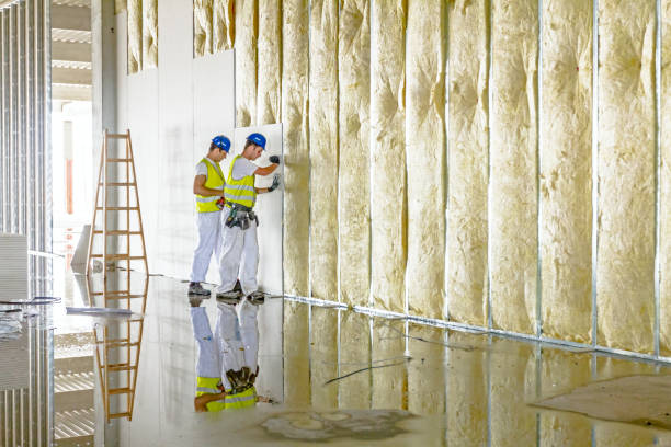 Best Insulation Contractors for Homes  in Browntown, PA
